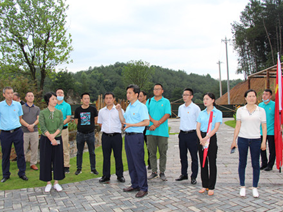 鄂旅投咸寧集團(tuán)與九宮山管委會聯(lián)合組織黨建調(diào)研活動,助力鄉(xiāng)村振興發(fā)展